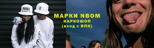 метадон Алексин