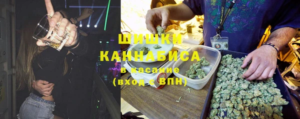 метадон Алексин