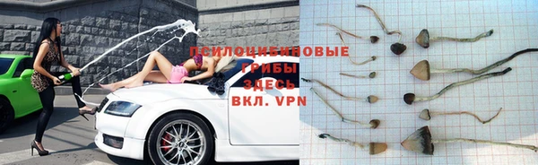 таблы Алексеевка