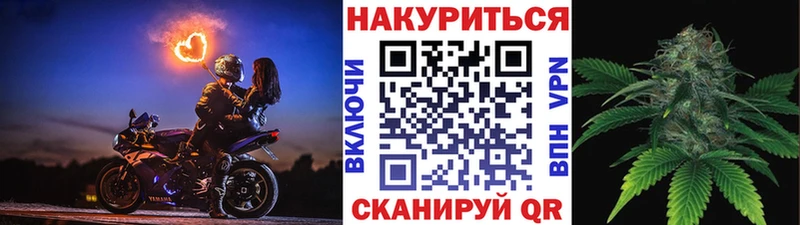 дарк нет как зайти  Томск  Каннабис индика 